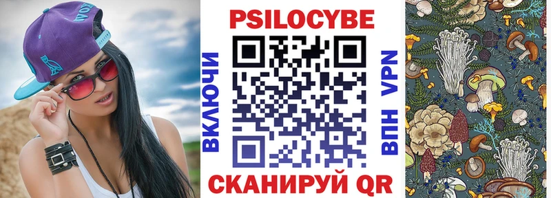 Галлюциногенные грибы Psilocybe Курчалой