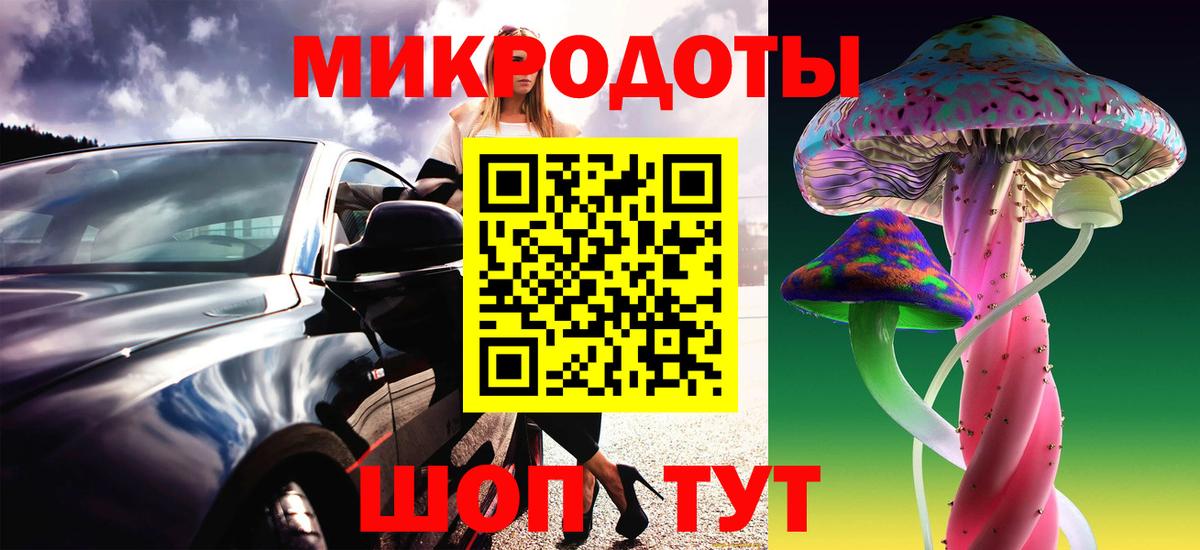что такое   Вход с VPN  Курчалой  Псилоцибиновые грибы GOLDEN TEACHER 