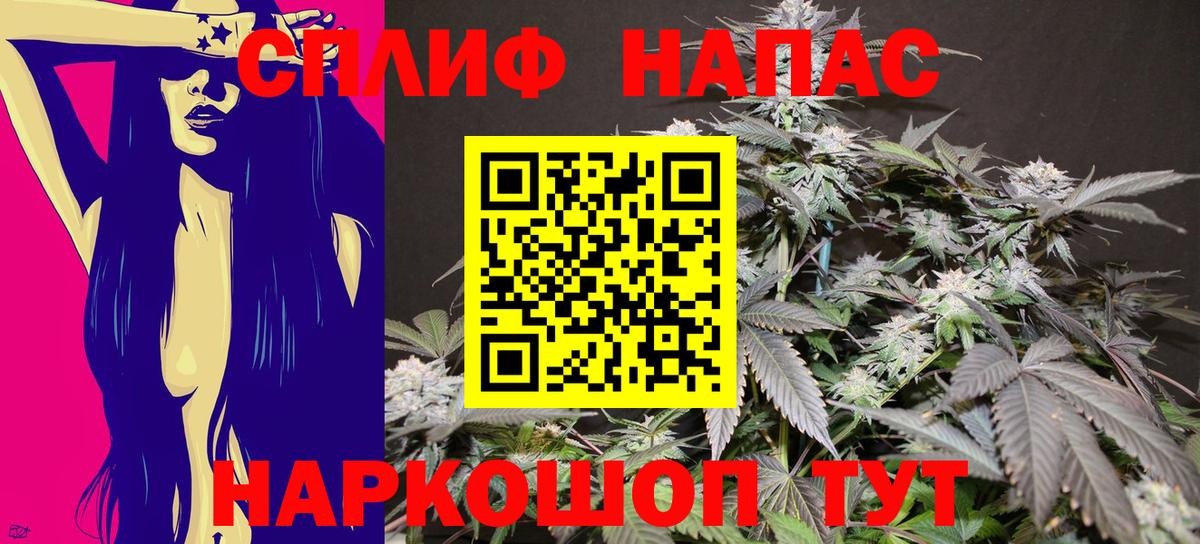 МАРИХУАНА планчик Курчалой